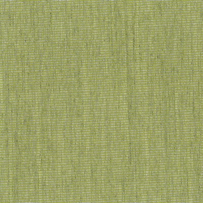 Caravita Tuchfarbe: Acryl ProNature Cactus