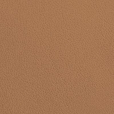 CC Türen: Leder SOFT GRAIN CAMEL 6021
