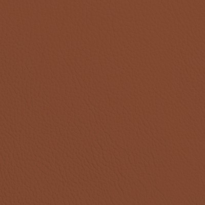 CC Türen: Leder SOFT GRAIN CHOCOLATE 6011