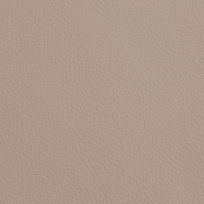 CC Türen: Leder SOFT GRAIN DUST 6015