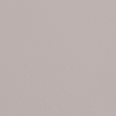 CC Türen: Leder SOFT GRAIN LIGHT GREY 6008