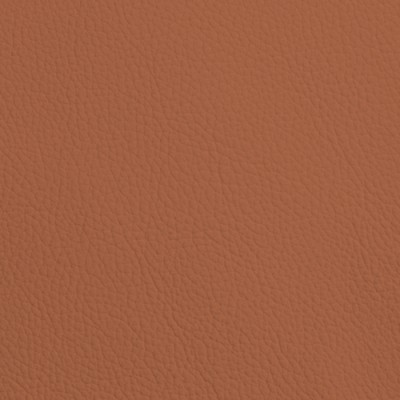 CC Türen: Leder SOFT GRAIN RUST 6019