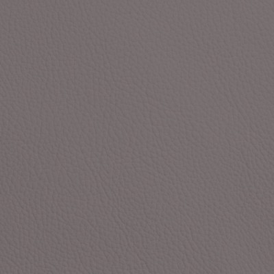 CC Türen: Leder SOFT GRAIN STEEL 6008