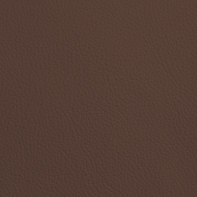 CC Türen: Leder SOFT GRAIN TABACCO 6001