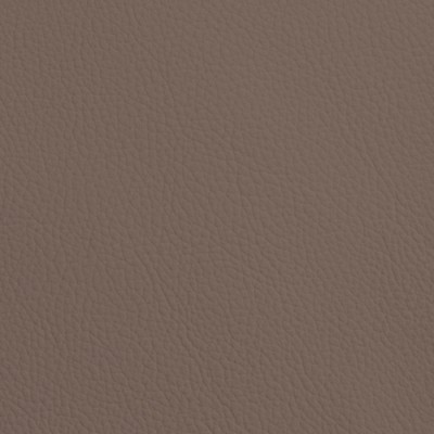 CC Türen: Leder SOFT GRAIN TAUPE 6016