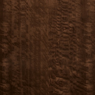 CC Korpus: Eucalyptus Frisé