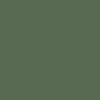 Container 1: Laminat T43 Salvia