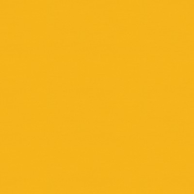 Caravita Tuchfarbe: Acryl All Weather 4013