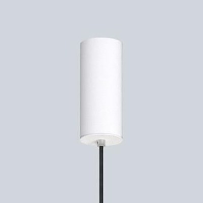 Canopy: white
