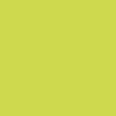 Tischplatte SJ: Laminat L55 Lime