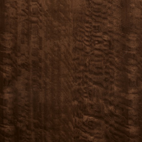 Eucalyptus Frisé
