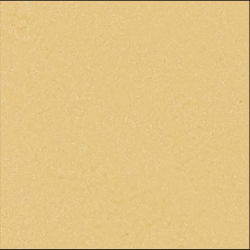 Moleskin Champagne