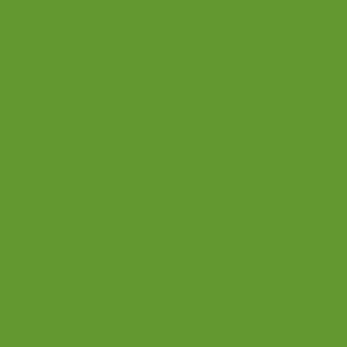 chartreuse RAL 6018