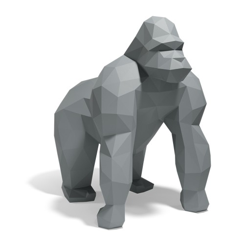 Gray 2005