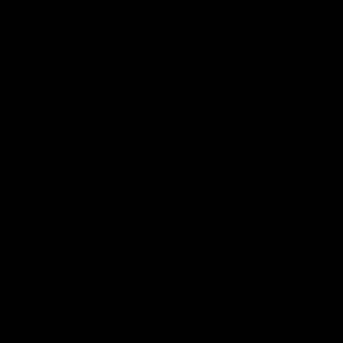 RAL 9005 schwarz matt